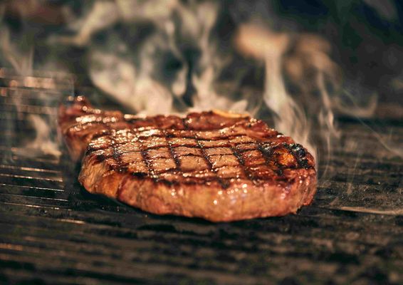 La nostra carne